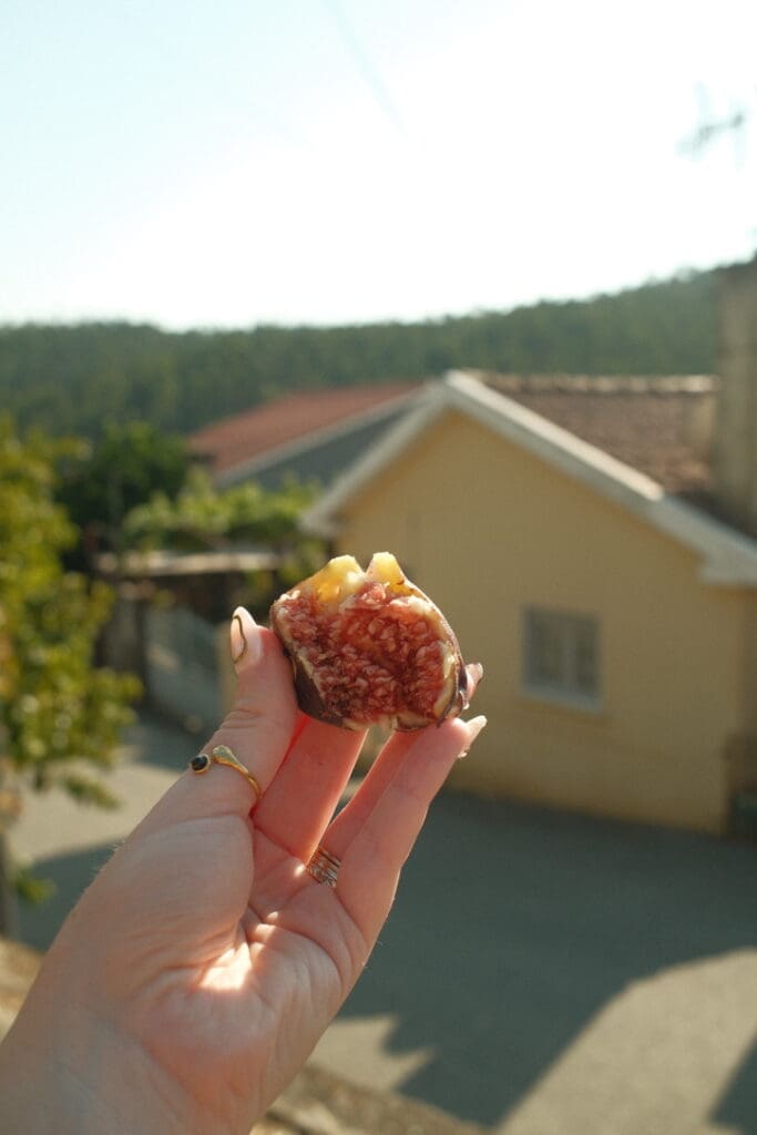A freshly picked fig held up against the backdrop of a small Portuguese village