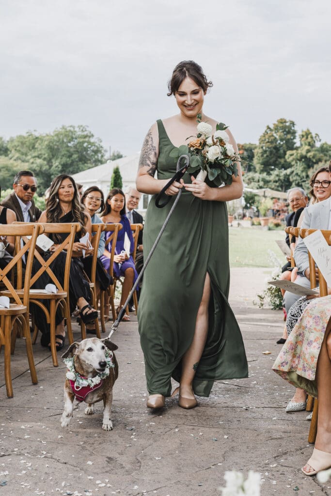 Bridesmaid walking the couple's dog down the aisle at Waupoos Estates Winery
