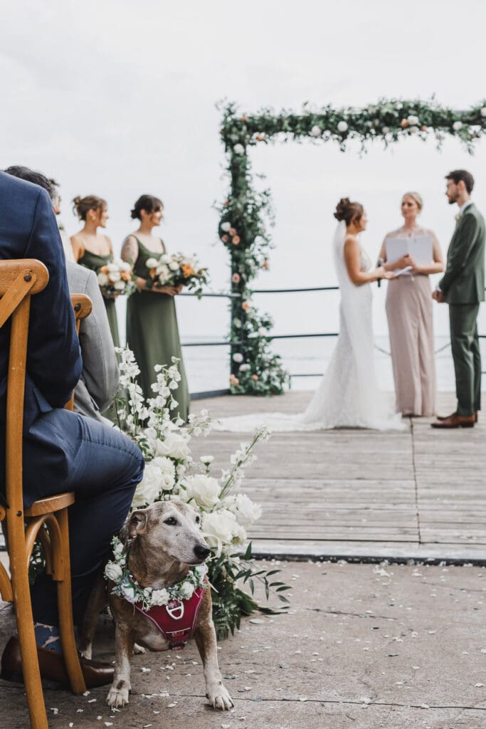 Wedding ceremony at Waupoos Estates Winery with the couple exchanging vows beneath a floral arch as their dog watches from the front row